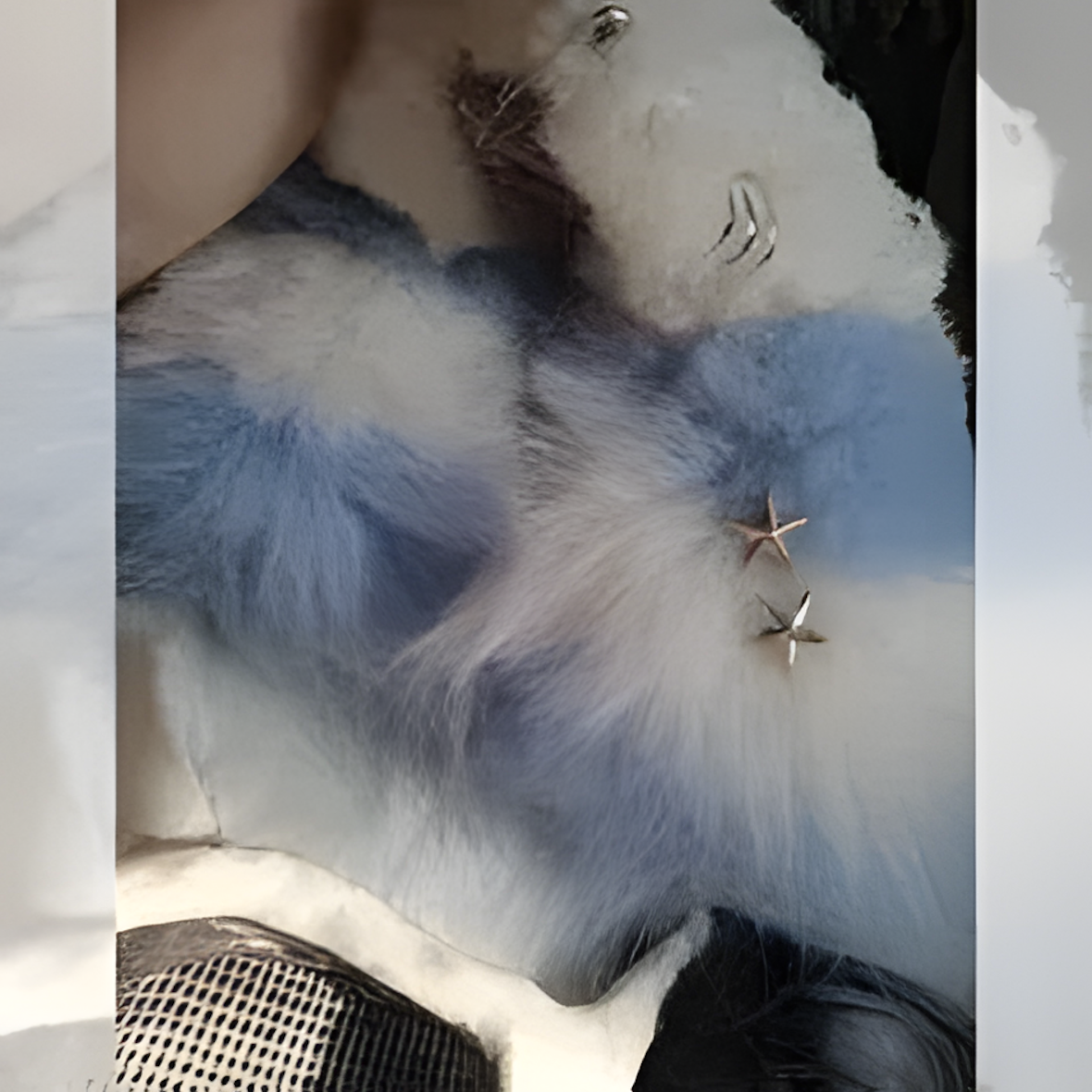 Fursuit (18)