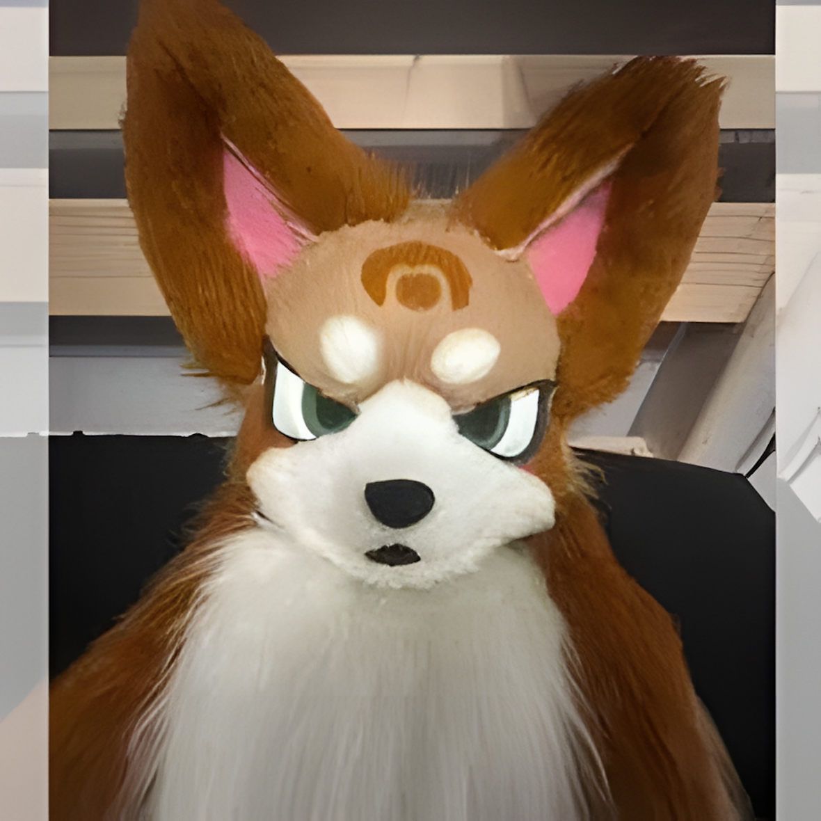 Cat fursuit (3)