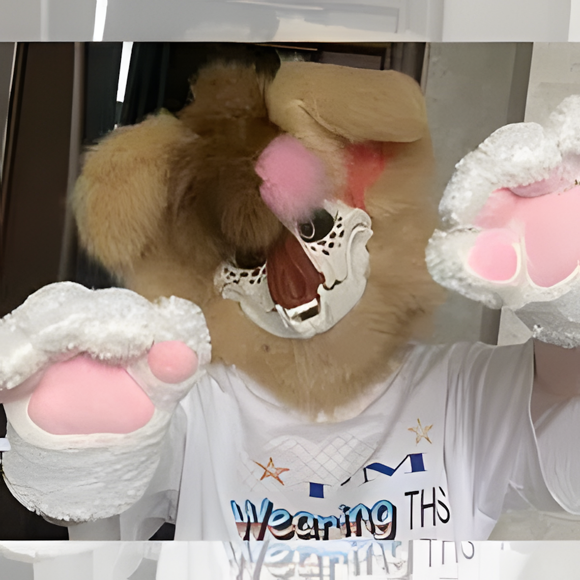 Fursuit (19)