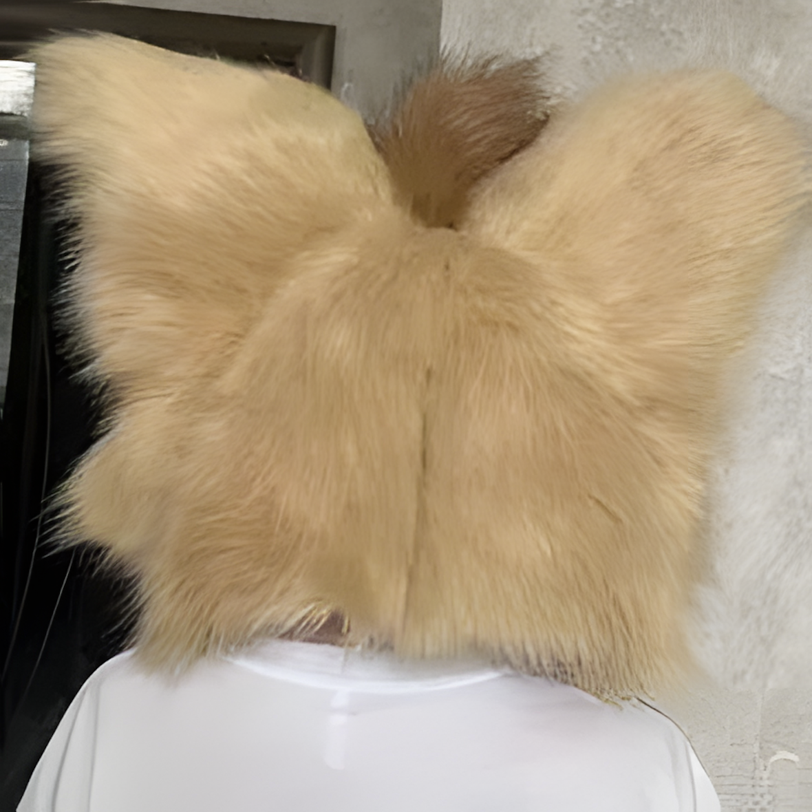 Fursuit (19)