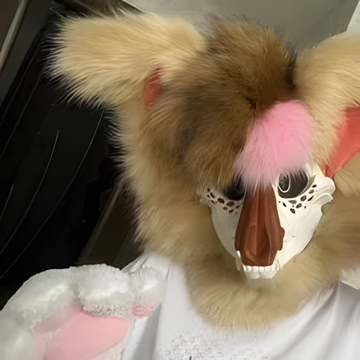 Fursuit (19)