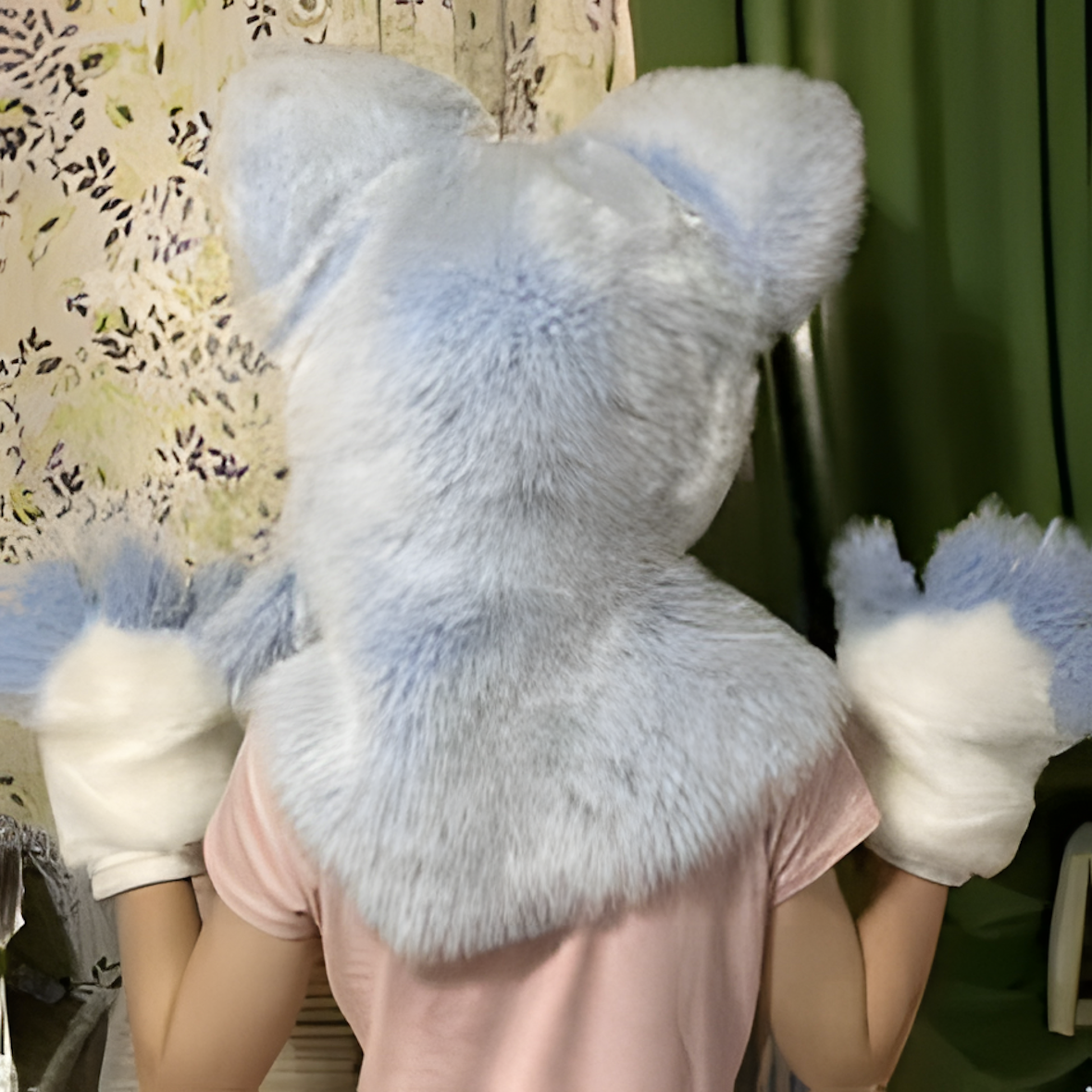 Fursuit (2)
