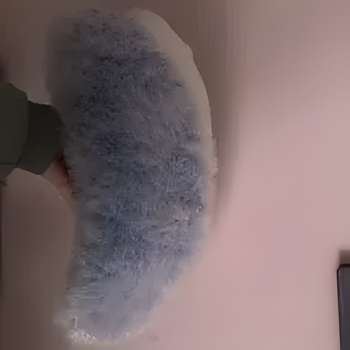 Fursuit (2)