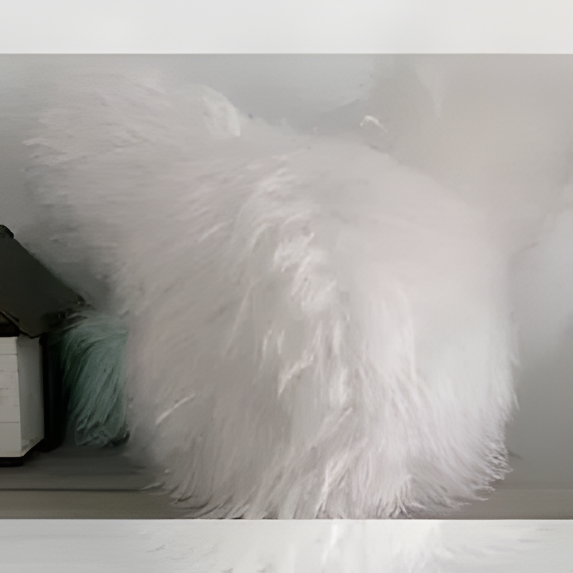 Fursuit (21)