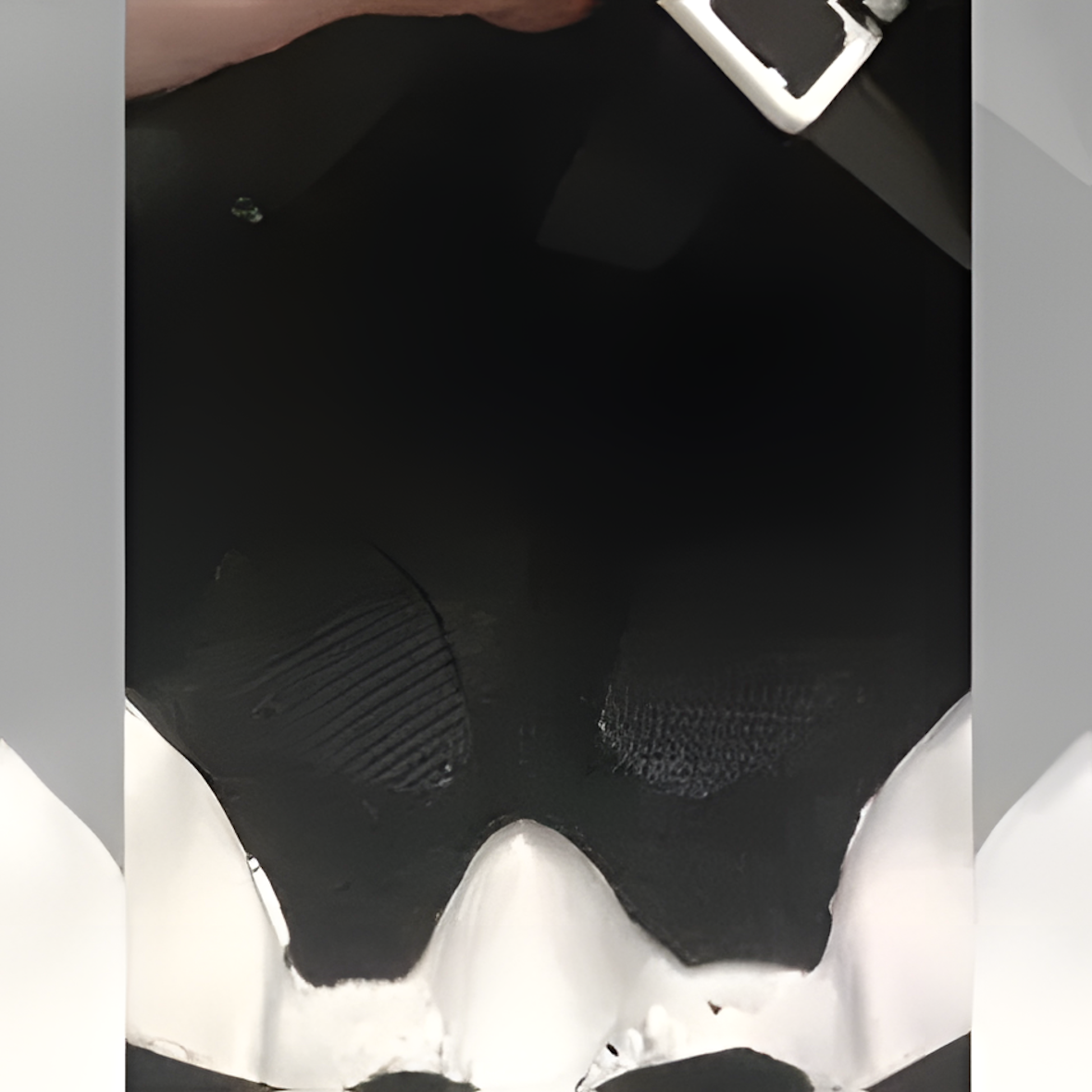 Fursuit (23)