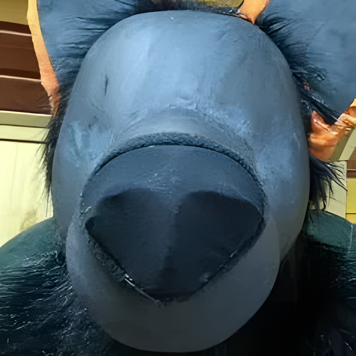 Fursuit (29)