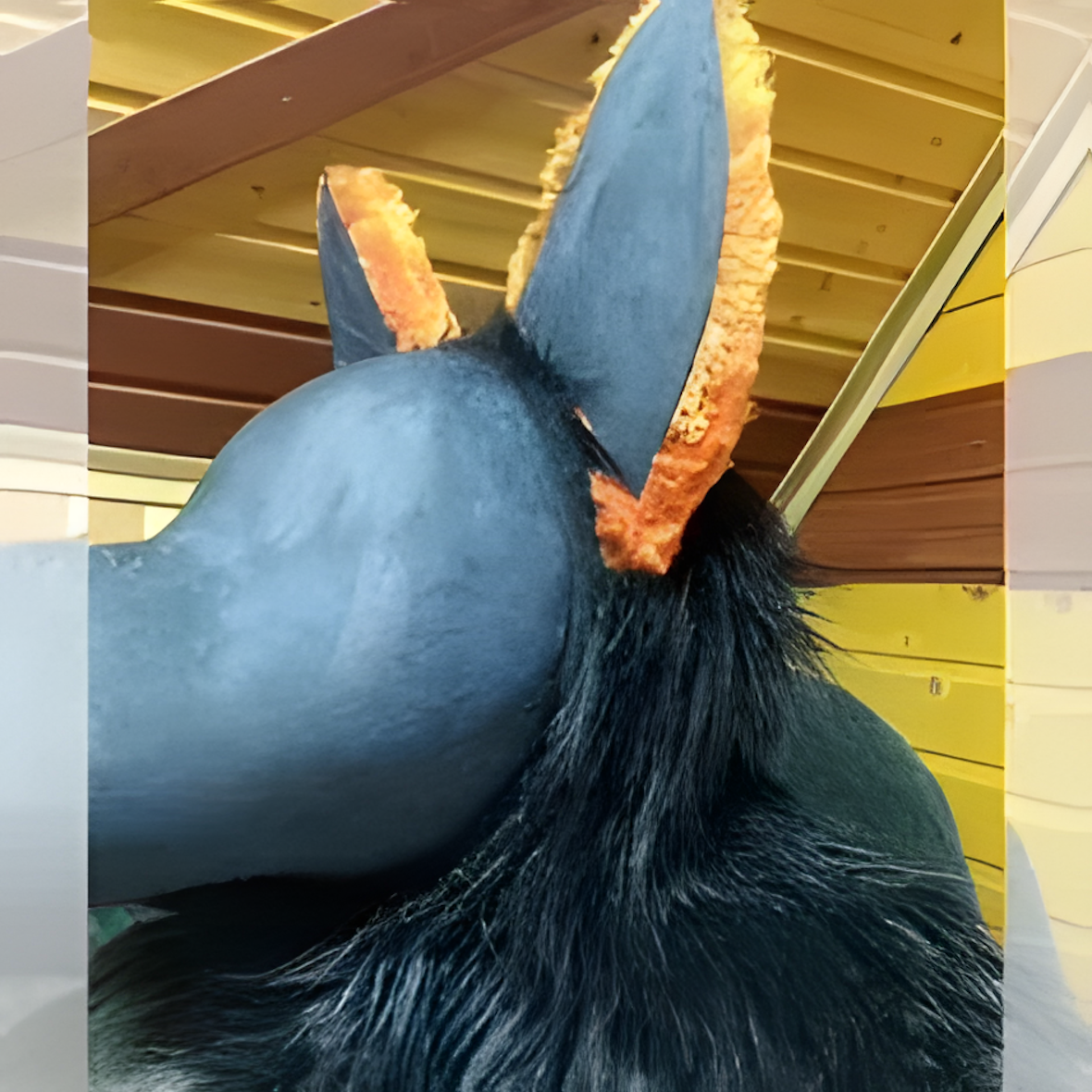 Fursuit (29)
