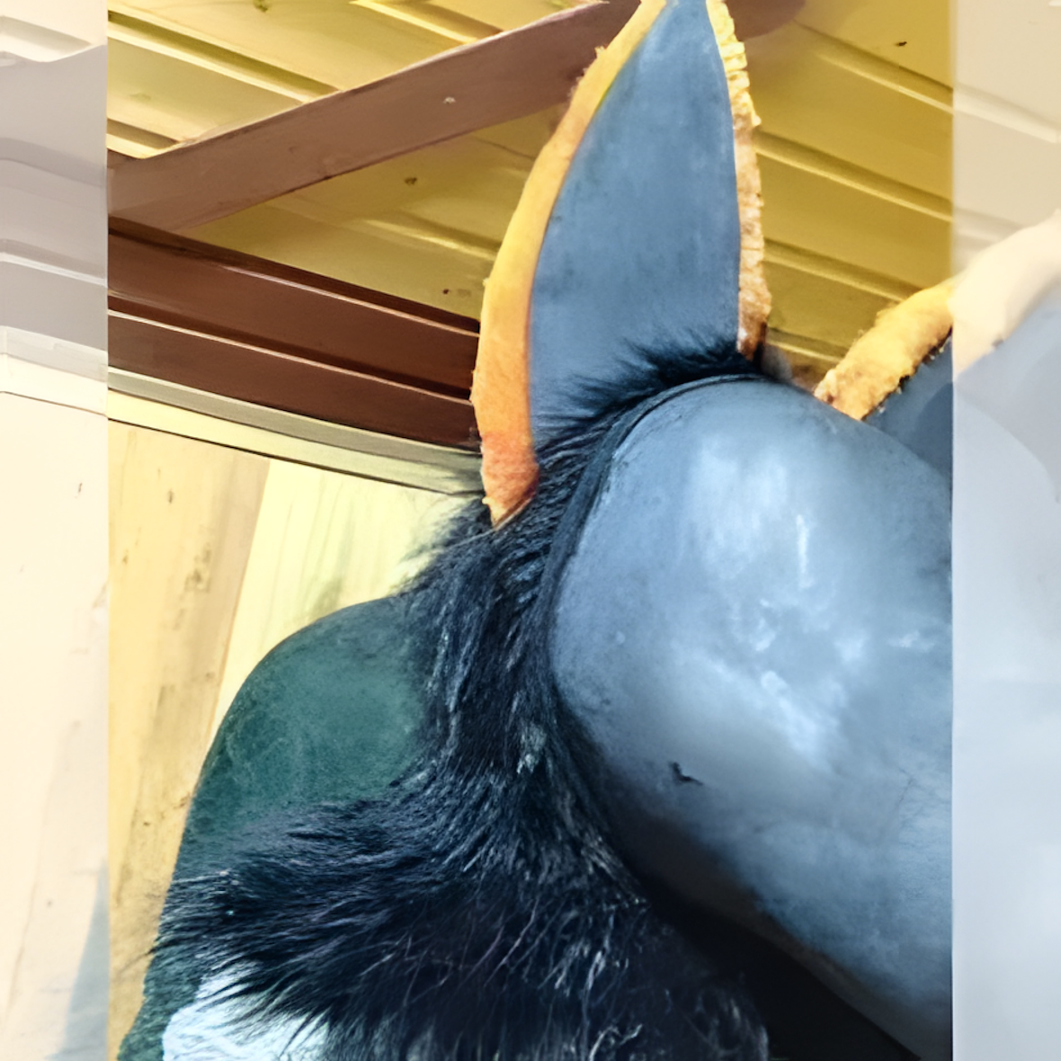 Fursuit (29)