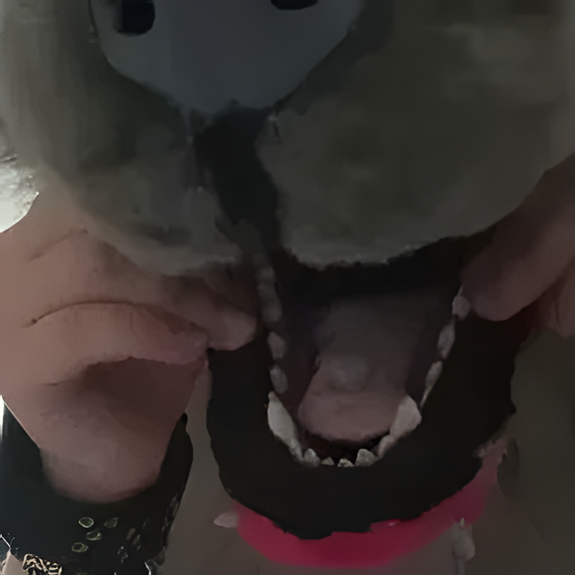 Fursuit (30)