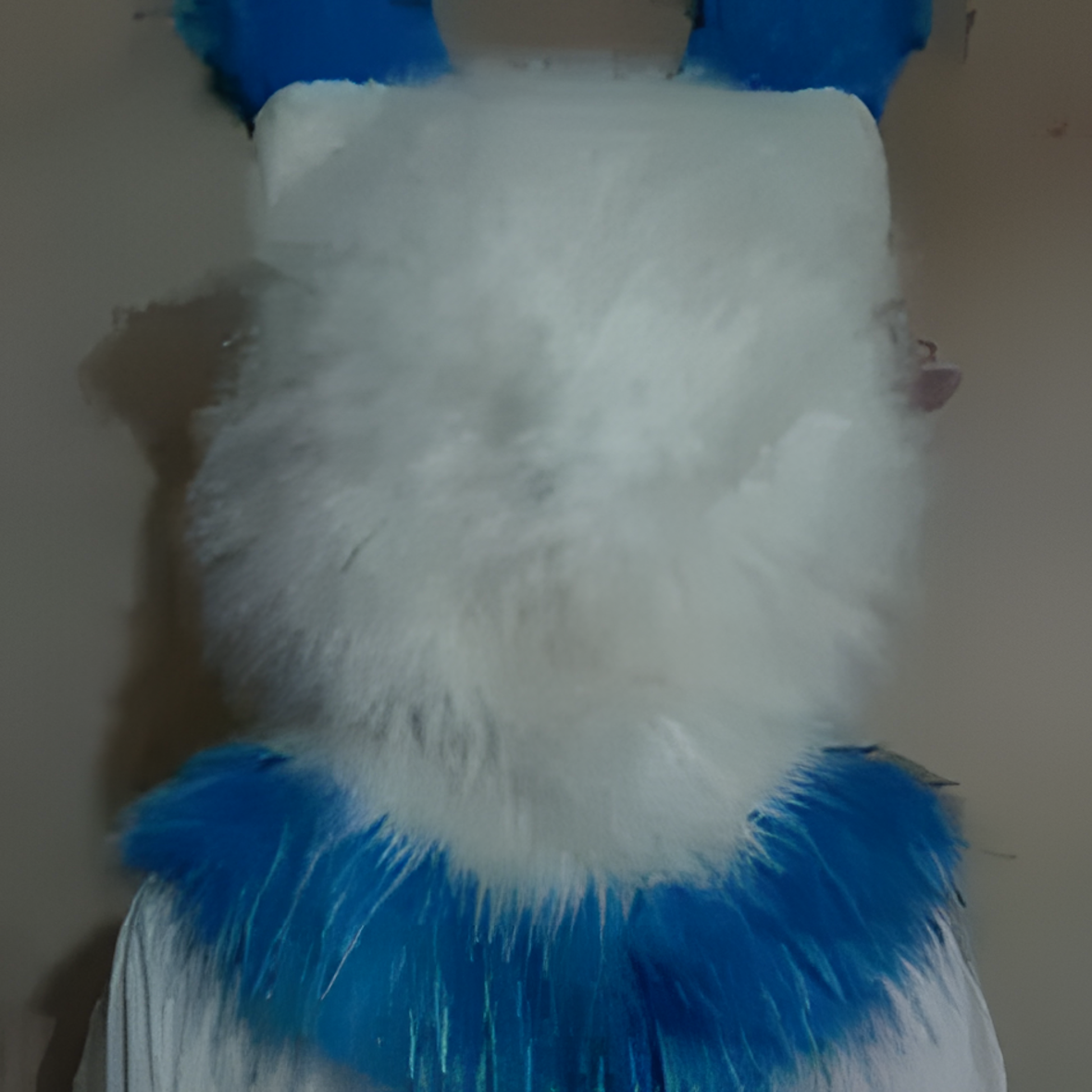 Fursuit (31)