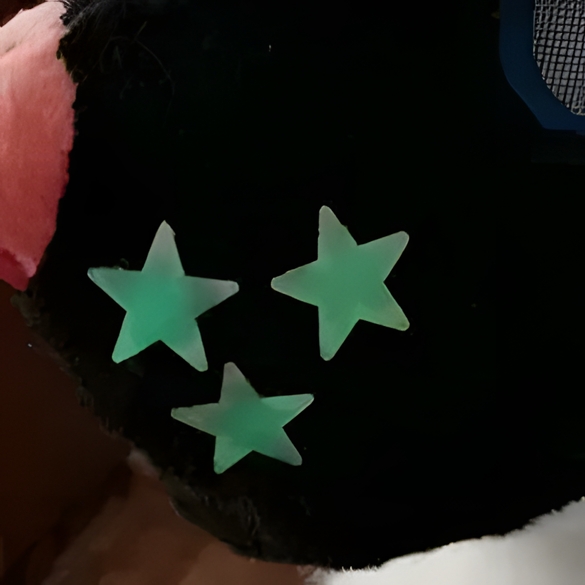 Cat fursuit (5)