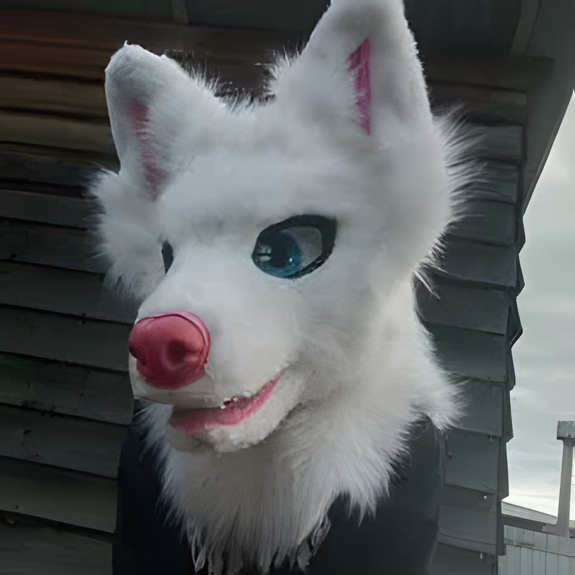 Fursuit (38)