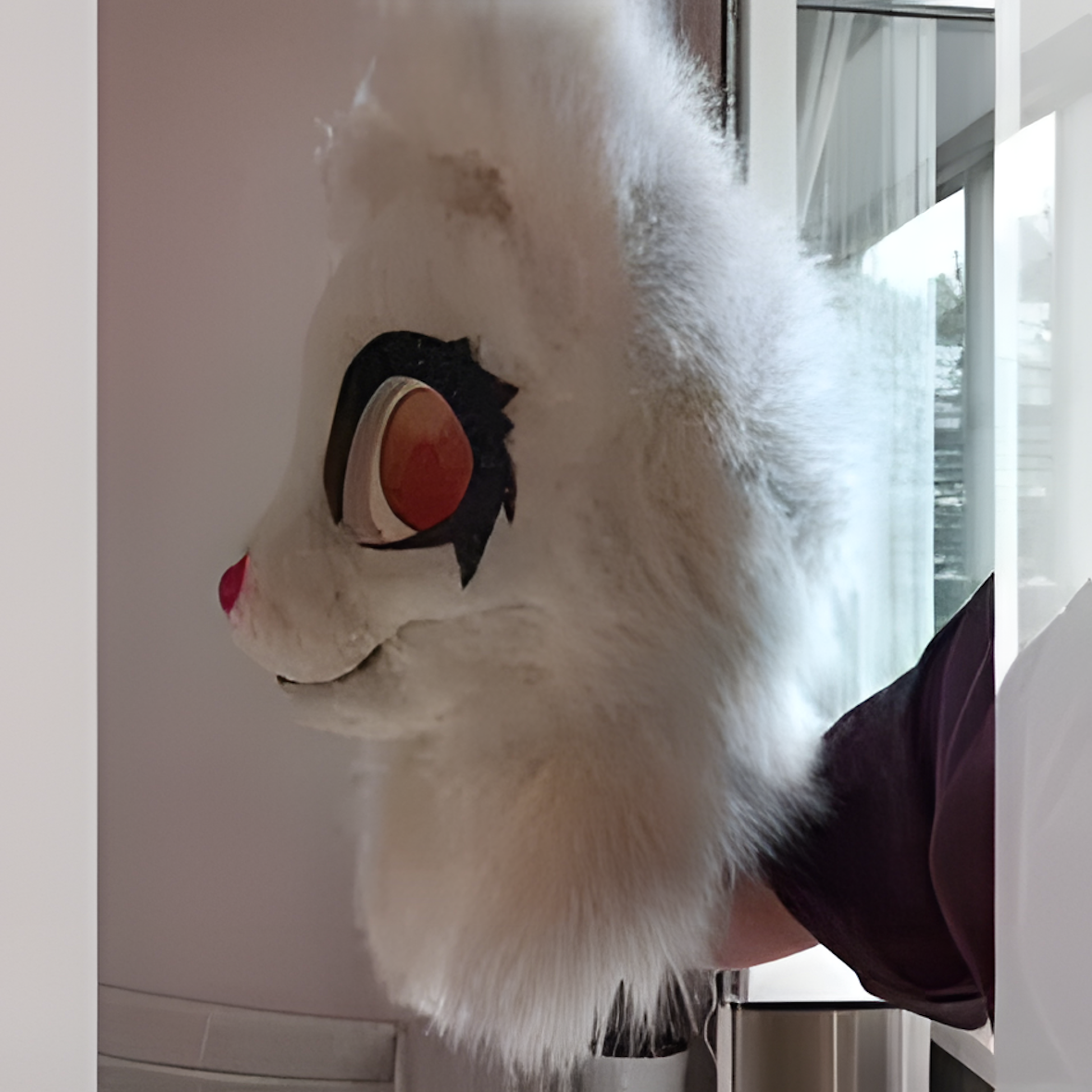 Fursuit (41)