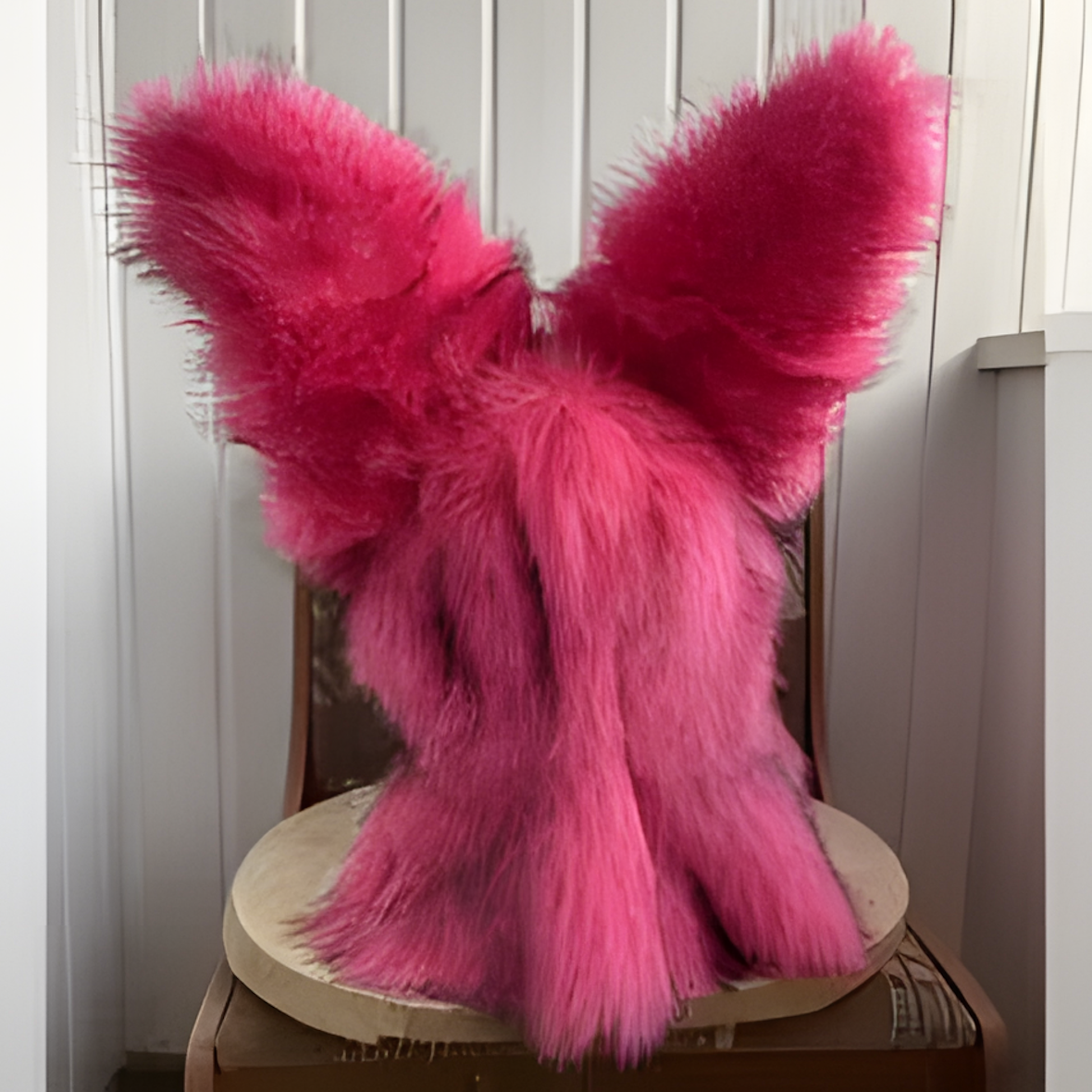 Fursuit (5)