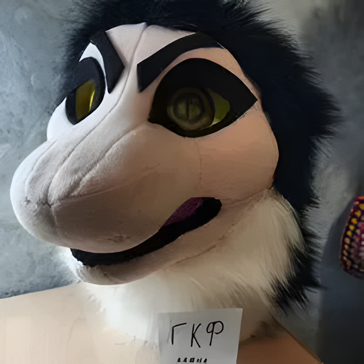 Fursuit (6)